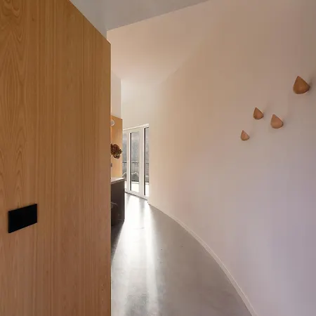Casita Big Fish *